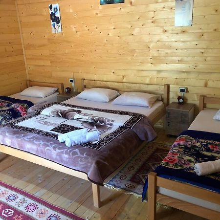 Valbona Villa Εξωτερικό φωτογραφία